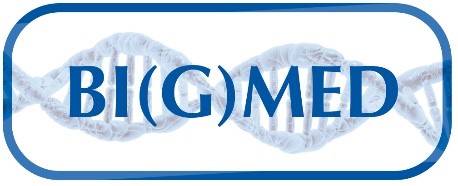 Logo Bigmed